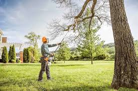 Best Seasonal Cleanup (Spring/Fall)  in Karnes City, TX